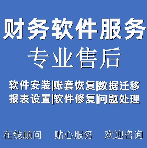 财务软件技术服务安装维护培训售后软件重新安装账套备份年结远程